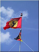134-3440_IMG.JPG