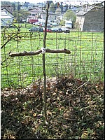 IMG_2238.JPG